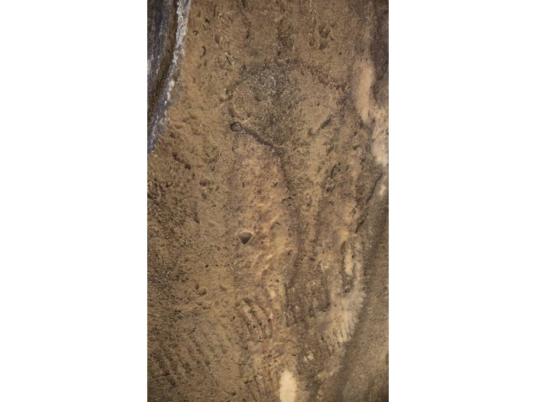 Qobustan MTBQ-da yeni qayaüstü təsvirlər aşkar olunub – FOTO