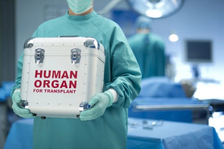 Azərbaycanda ölümündən sonra orqanlarını bağışlamaq üçün müraciət edənlərin sayı 1400-ü keçib