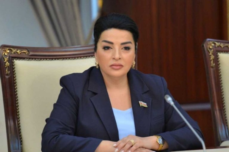 Deputat: Ermənistanda və işğal altında olmuş ərazilərimizdə abidələrimizin dağıdılması sistemli vandalizmdir