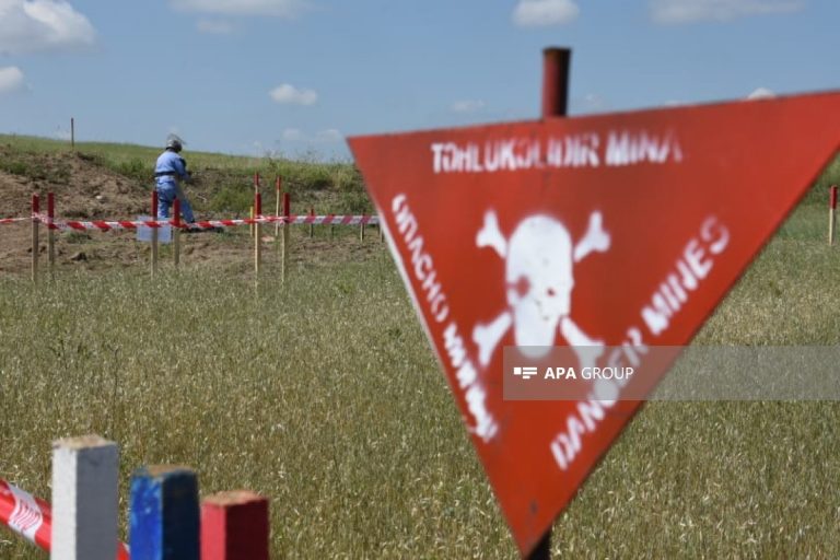 Altı ayda mina hadisələri nəticəsində 2 nəfər ölüb, 11 nəfər yaralanıb