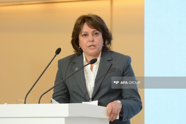 Umayra Tağıyeva: Süni intellekt erkən xəbərdarlıq sistemlərinin effektivliyini artıra bilər